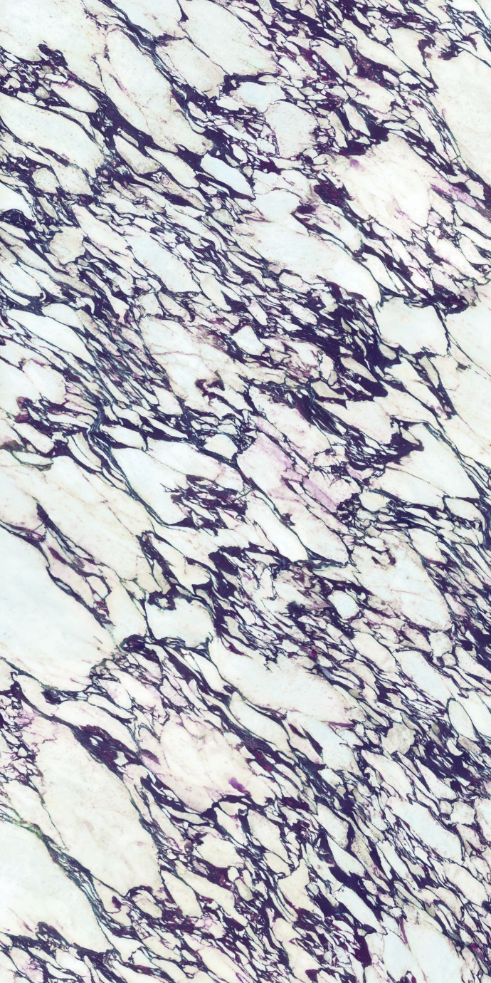 Calacatta Viola porcelain slabs featuring dramatic purple and white marble pattern details.